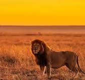 Kenyan places you need visit